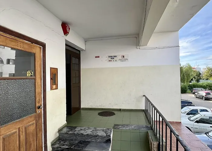 Apartment 10 By Homing