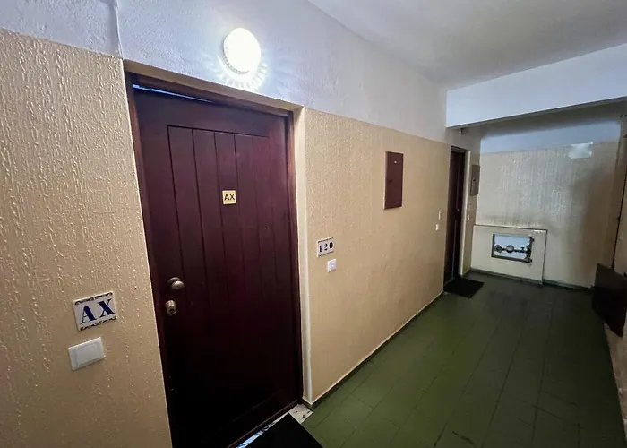 Apartment 10 By Homing